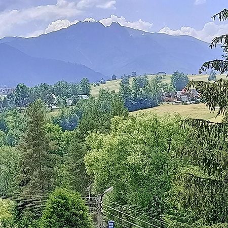 Lodowy Dom Apartment Zakopane Exterior foto