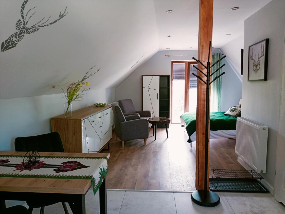 Lodowy Dom Apartment Zakopane Exterior foto