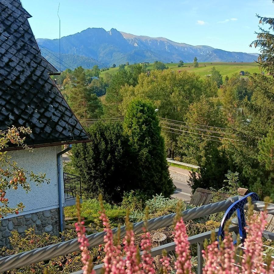 Lodowy Dom Apartment Zakopane Exterior foto